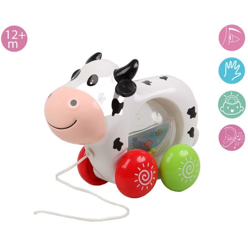 Kiokids arrasta vaca