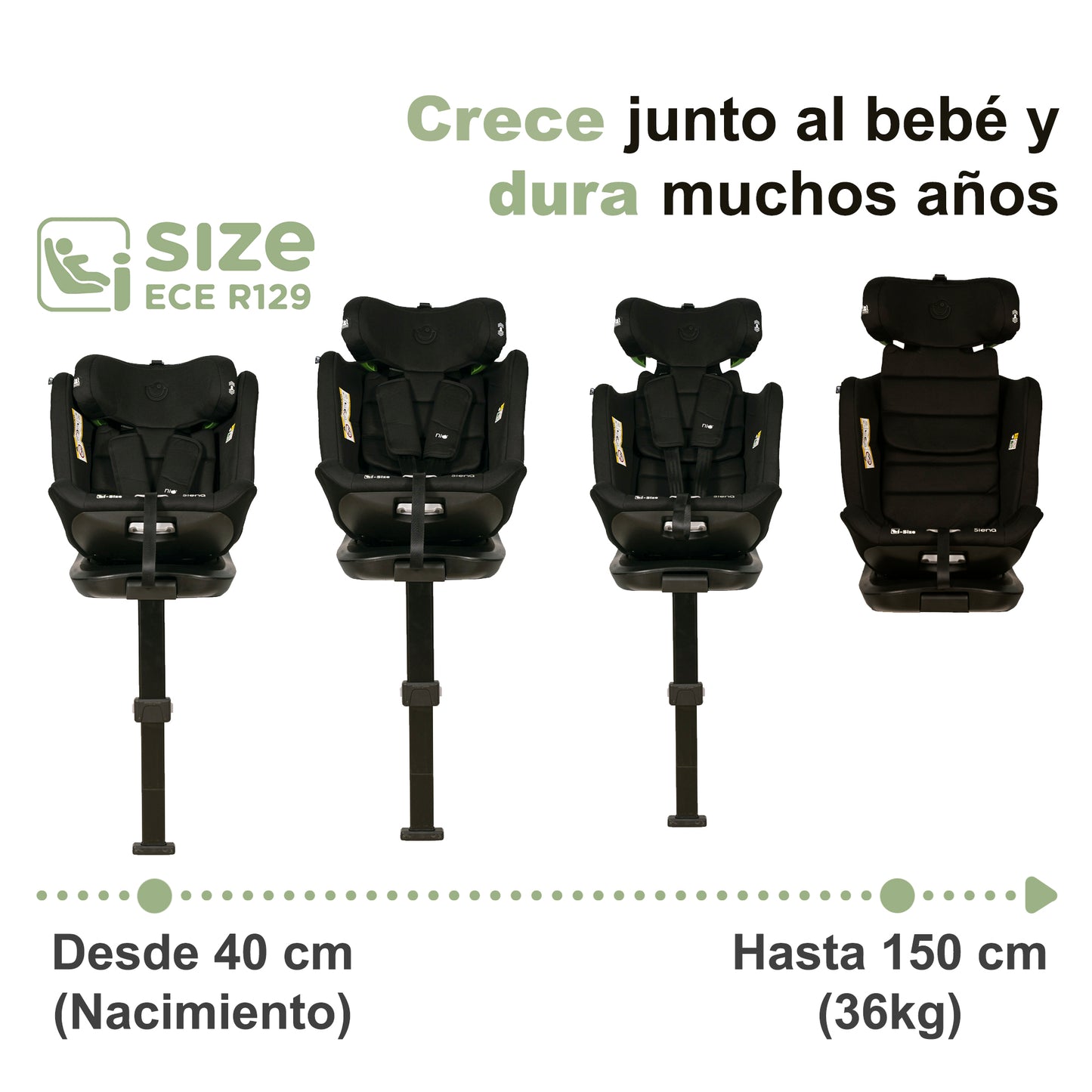 Cadeirinha de carro evolutiva Olmitos SIENA I-SIZE 40-150 cm