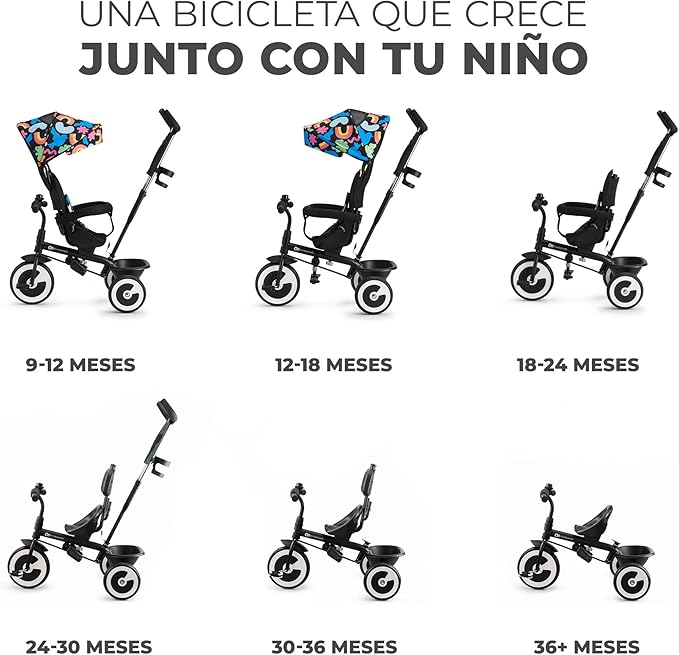 Triciclo Kinderkraft Aston