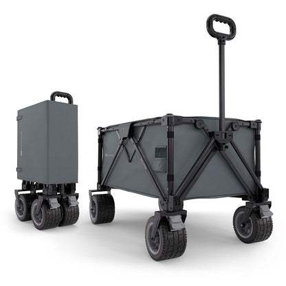 Carrito de transporte plegable ROLLSTER